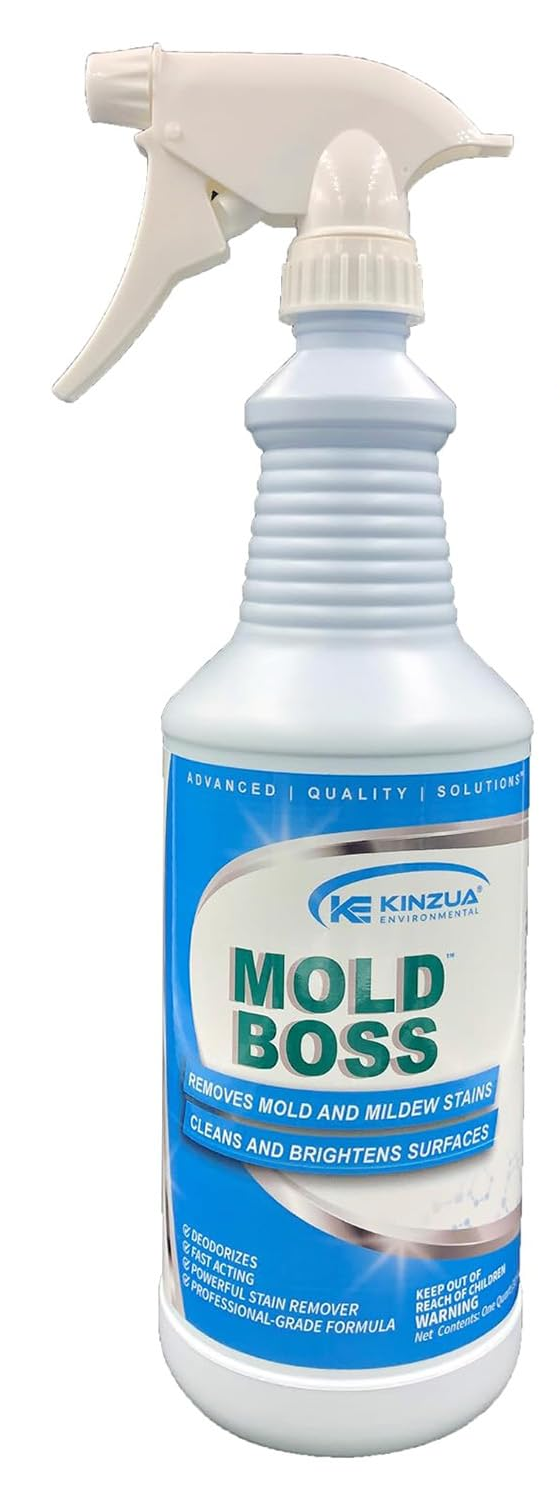 Mold Boss
