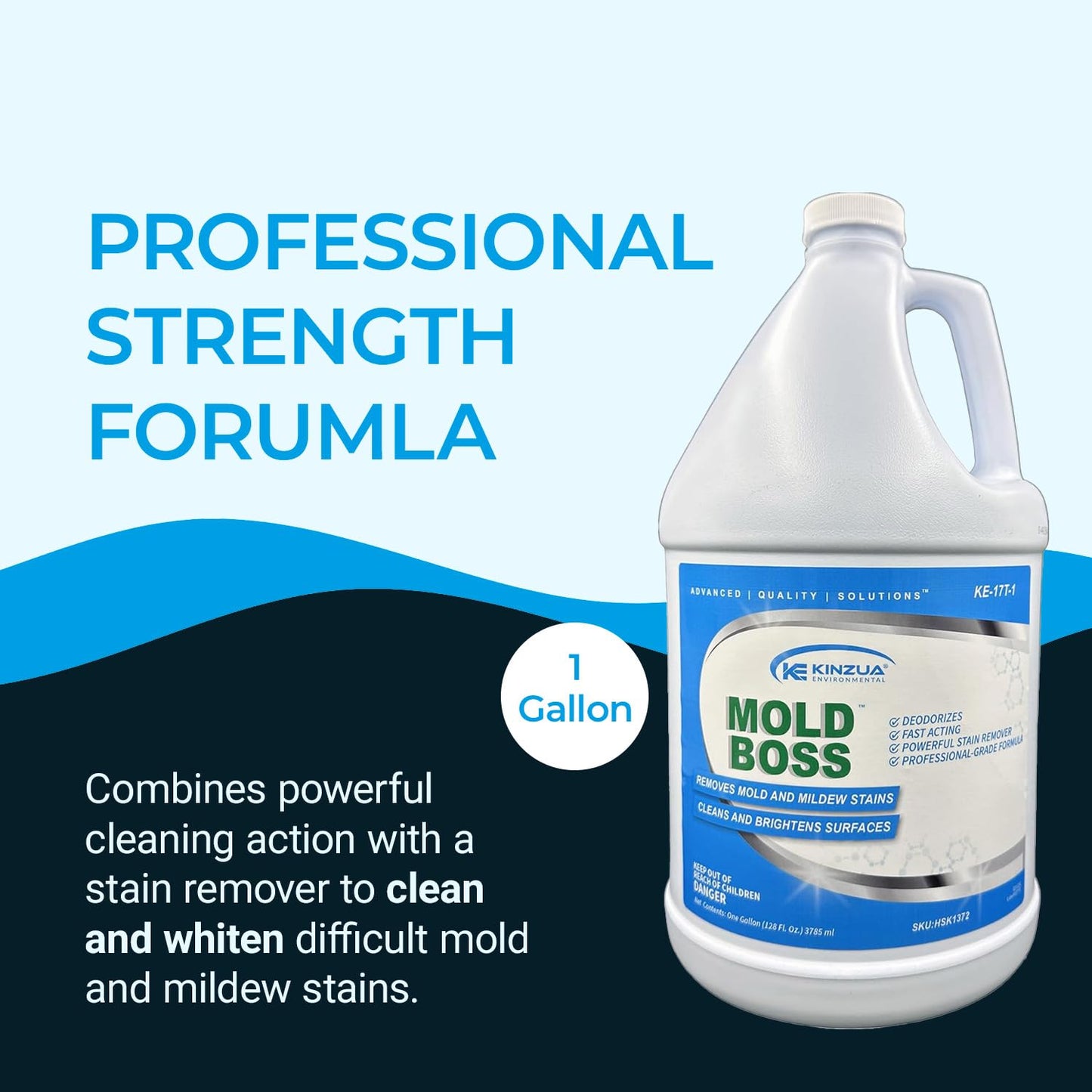 Mold Boss 1 gallon