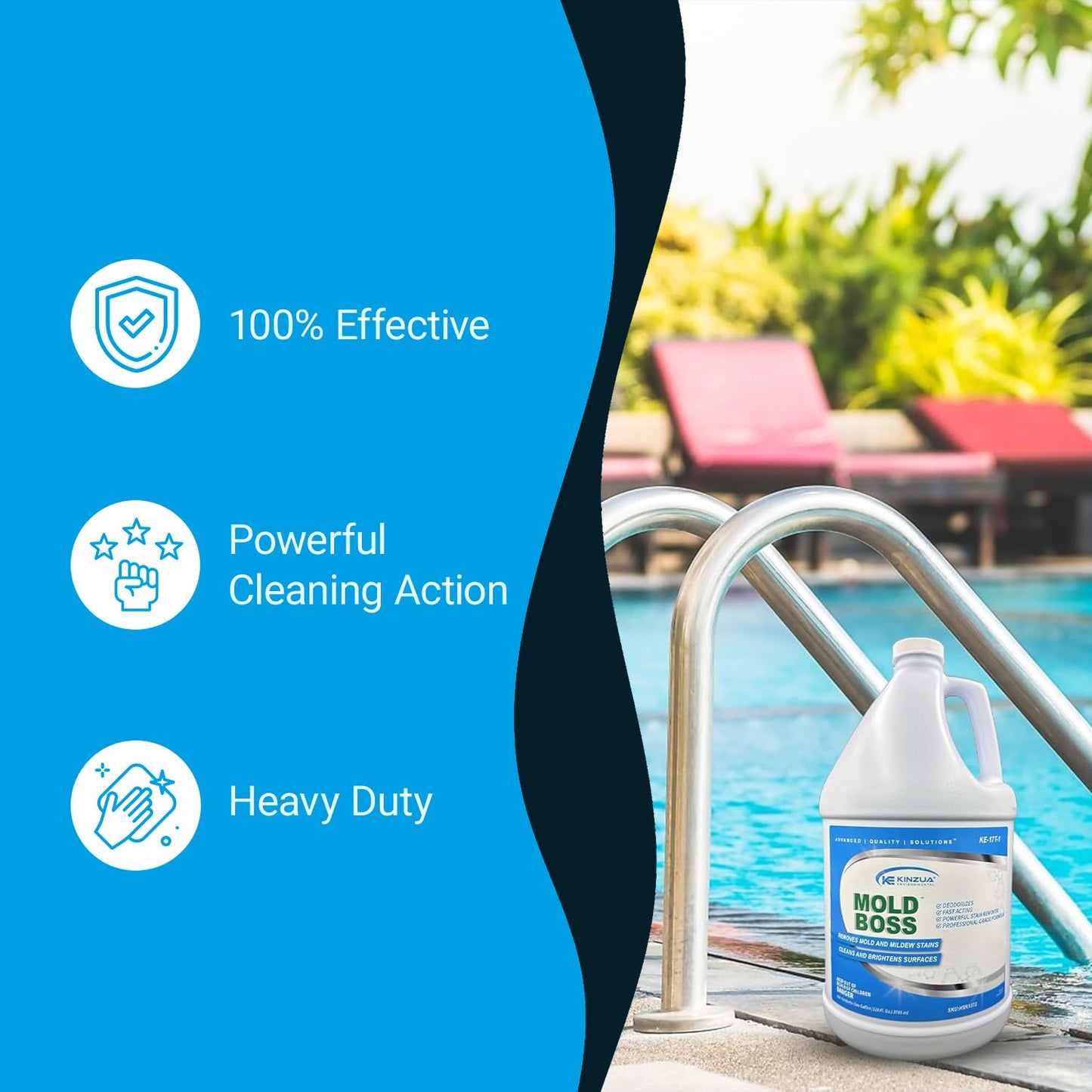 Mold Boss 1 gallon