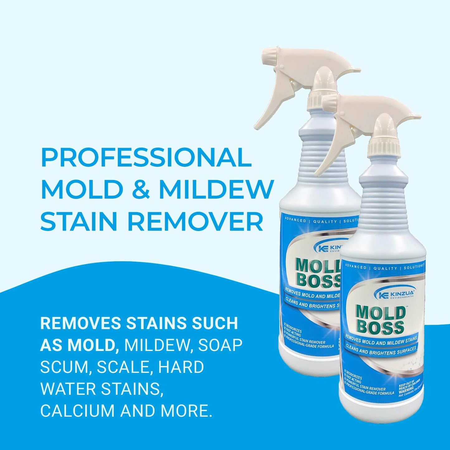 Mold Boss