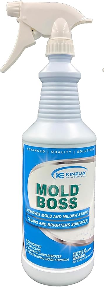 Mold Boss